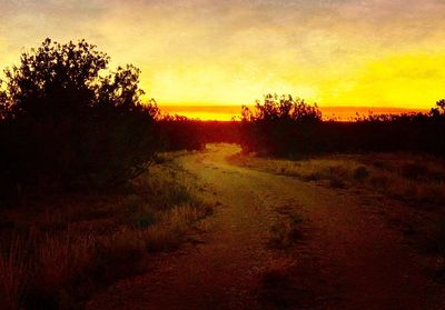 Scenic view of field against sky during sunset