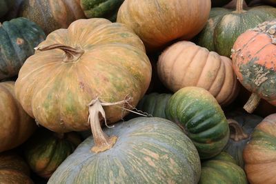 Full frame shot of pumpkins at market stall