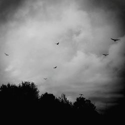 Low angle view of bird flying against cloudy sky