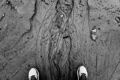 Low section of man standing on sand