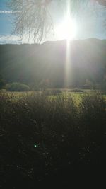 Sun shining through clouds over field