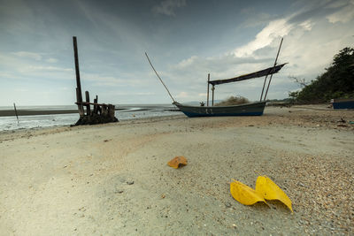 Scenic view of beach against sky