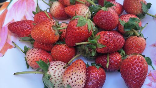 High angle view of strawberries