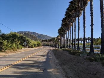 Road by trees against clear blue sky