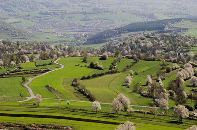 High angle view of agricultural landscape