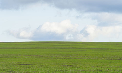 Scenic view of field against sky