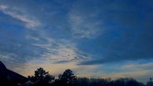 Low angle view of trees against sky