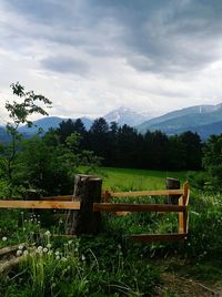 Bench by trees on field against sky