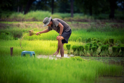 Rear view of man with arms raised on field