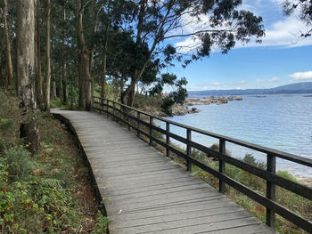 Eco path wooden walkway in arosa island, galicia, spain. natural trail path - route in the forest.