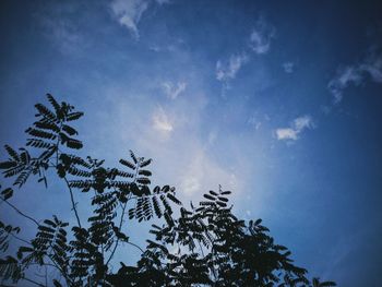 Low angle view of silhouette trees against blue sky