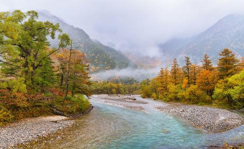 Scenic view of lake amidst trees against sky