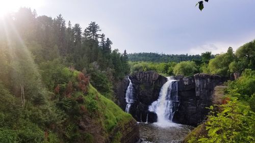 View of waterfall in forest