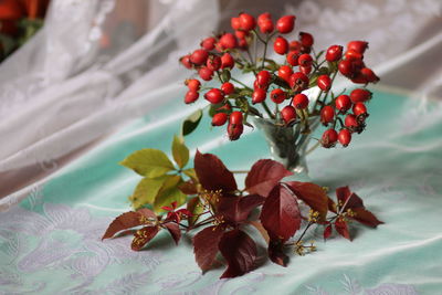 Close-up of red berries on plant