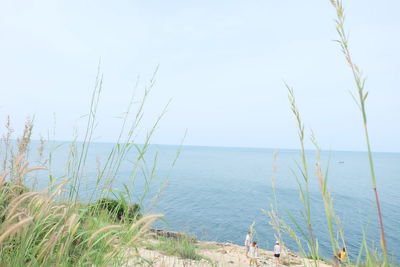 Scenic view of sea against clear sky