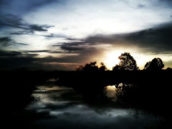 Silhouette of trees at sunset