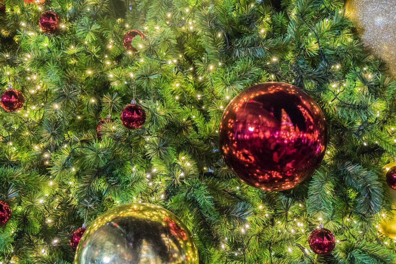 CLOSE-UP OF CHRISTMAS TREE AGAINST STAR SHAPE