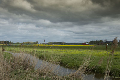 Scenic view of field against cloudy sky