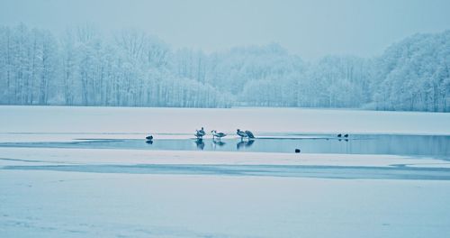 People on snow covered land against sky