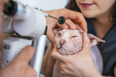 Midsection of woman holding cat