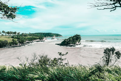 Scenic view of beach against sky