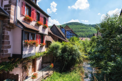 Small colorful german half timbered houses and a river in kaysersberg along the main street. 