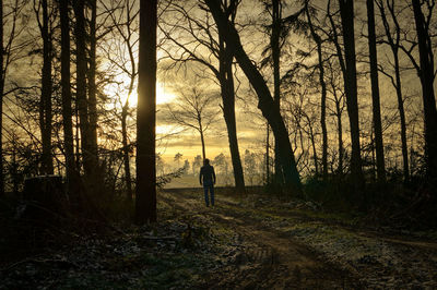 People walking in forest