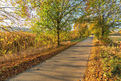 Road amidst trees in forest during autumn