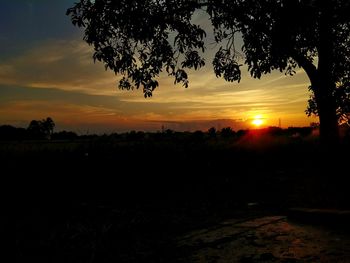 Silhouette trees on field against sky during sunset