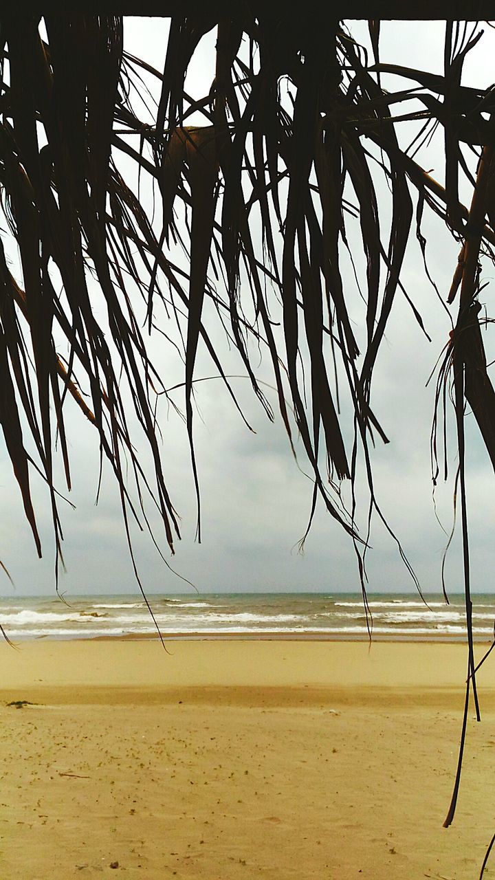 SCENIC VIEW OF BEACH