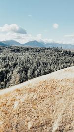 Scenic view of field against sky during winter