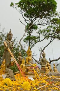 Low angle view of temple