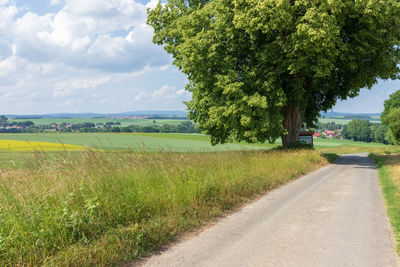 Road amidst trees on field against sky