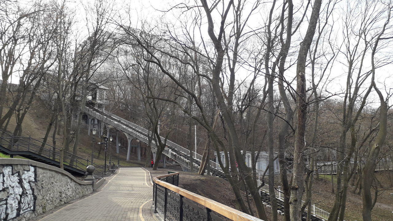 BRIDGE OVER BARE TREES IN WINTER