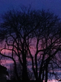 Low angle view of silhouette bare trees against sky at dusk