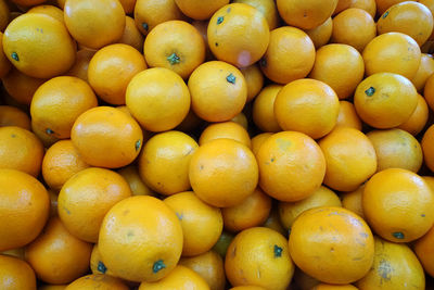 Full frame shot of oranges