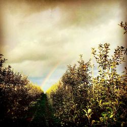 Scenic view of rainbow against sky