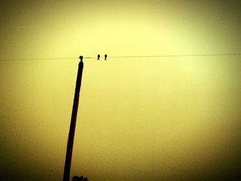 Silhouette birds perching on pole against sky during sunset