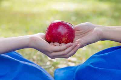 Close-up of woman holding apple