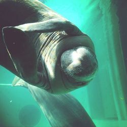 Low angle view of tree against blue sky