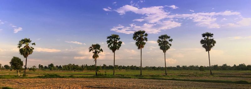 Scenic view of field against cloudy sky