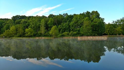 Scenic view of lake by trees in forest against sky