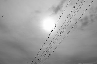 Low angle view of birds flying against sky