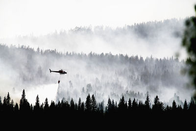 Helicopter dumping water on forest fire