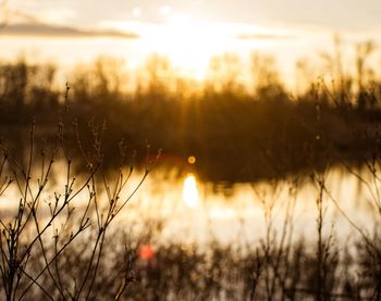 Scenic view of sunset