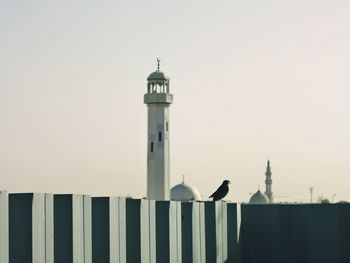 Low angle view of seagull perching on railing