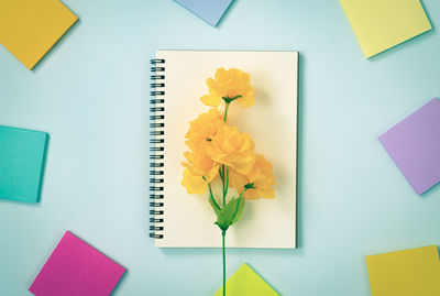 High angle view of yellow flowers on table