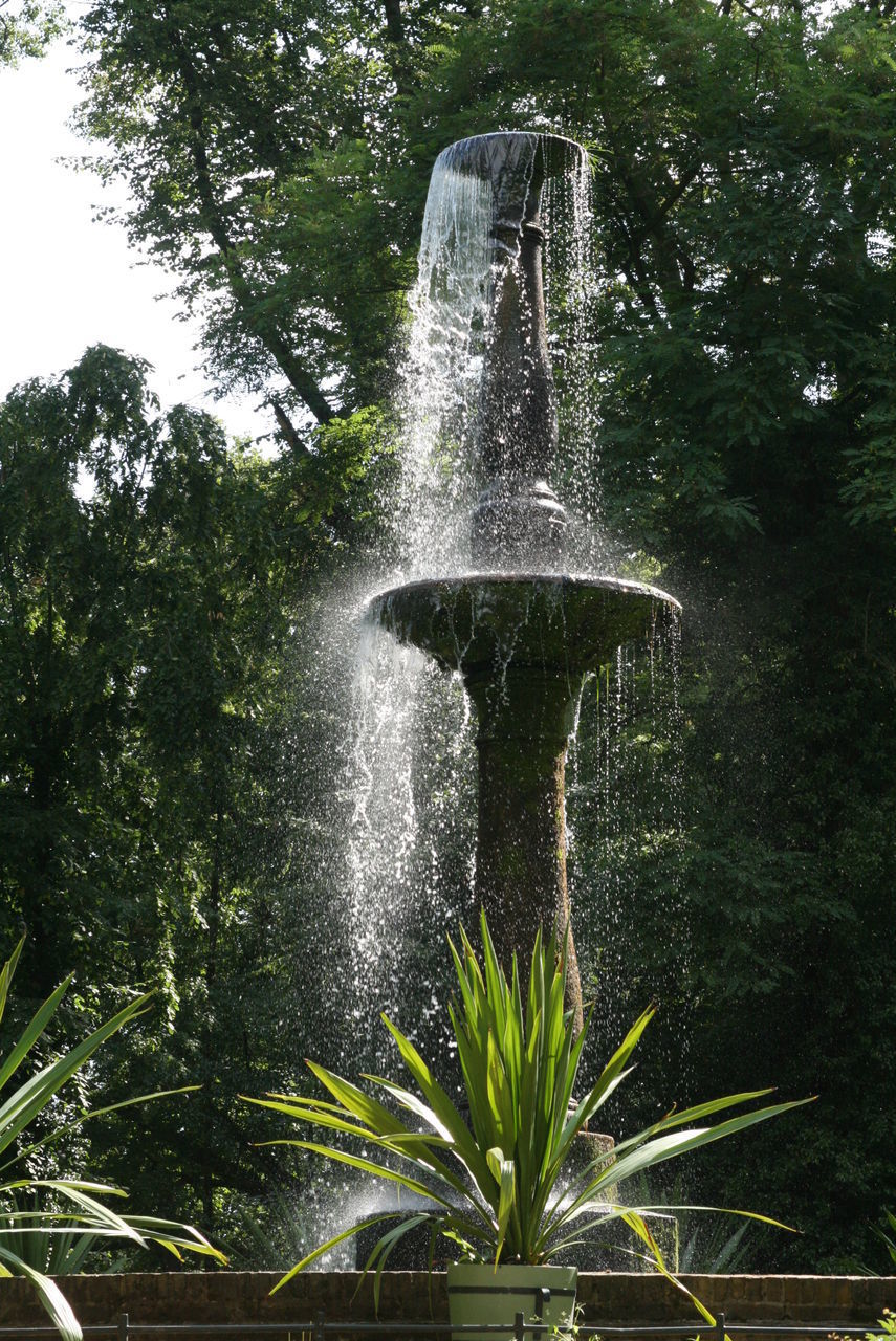 WATER SPLASHING IN FOUNTAIN AGAINST TREES