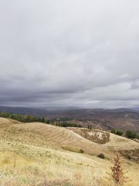 Scenic view of landscape against sky