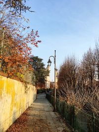 Narrow walkway leading to building